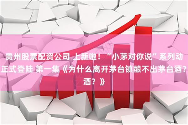贵州股票配资公司 上新啦！“小茅对你说”系列动画正式登陆 第一集《为什么离开茅台镇酿不出茅台酒？》