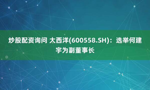 炒股配资询问 大西洋(600558.SH)：选举何建宇为副董事长